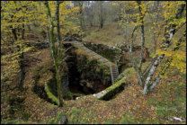 Vhod v Divaško jamo
